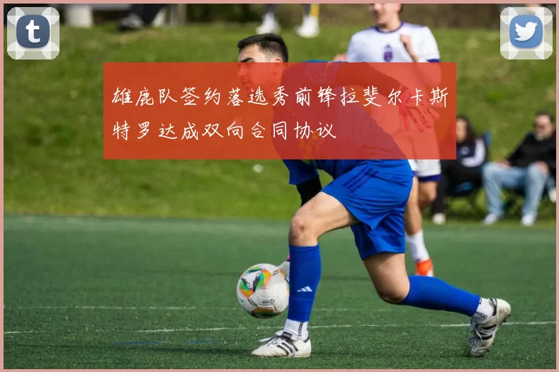 雄鹿队签约落选秀前锋拉斐尔卡斯特罗达成双向合同协议